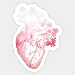 Crimson Colored Anatomically Correct Human Heart - Palm Trees Sticker